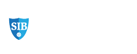 Stallion Insurance Brokers